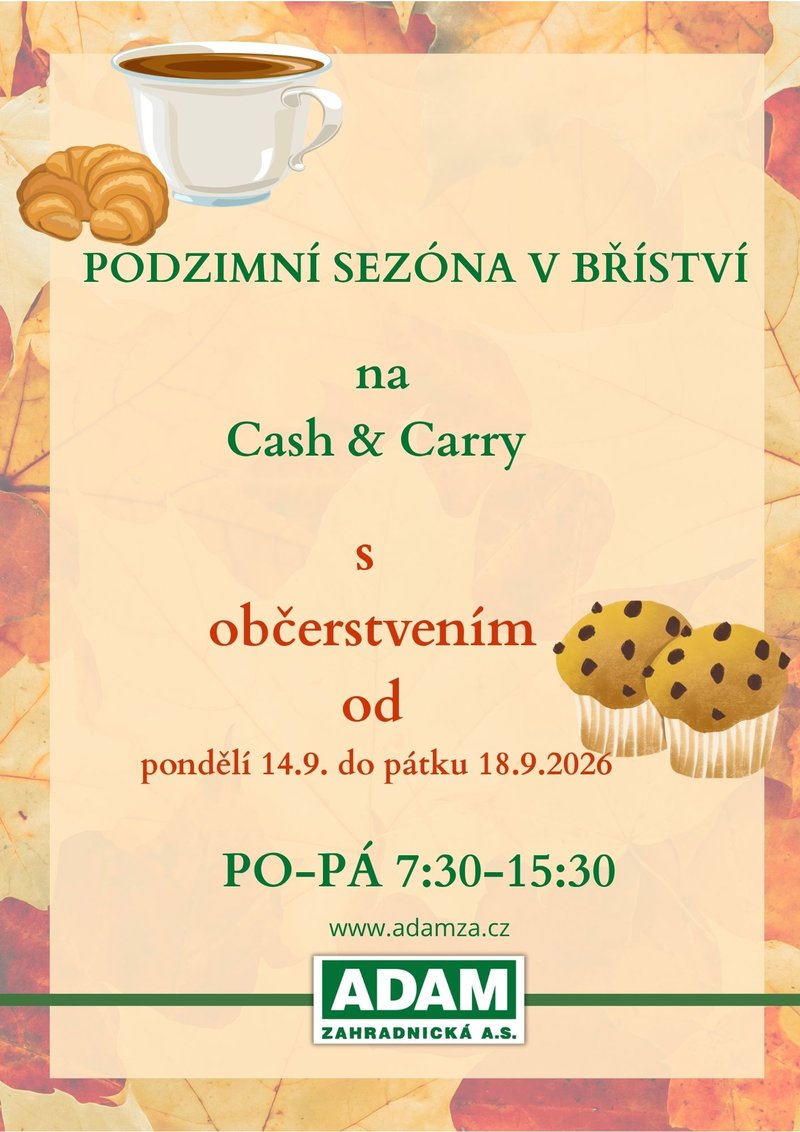 blog-image